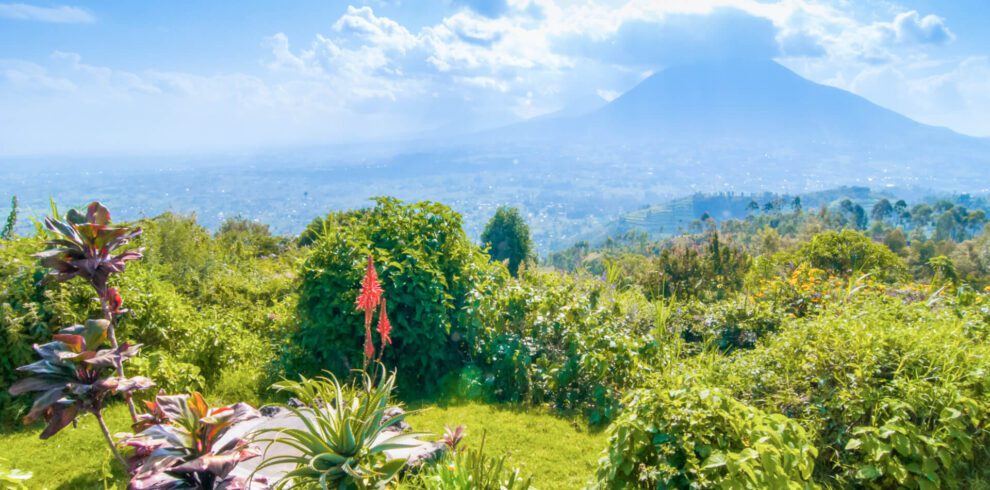 Grazia-Tours-Safaris