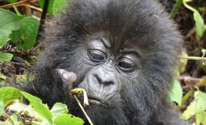 Grazia-Tours-Safaris