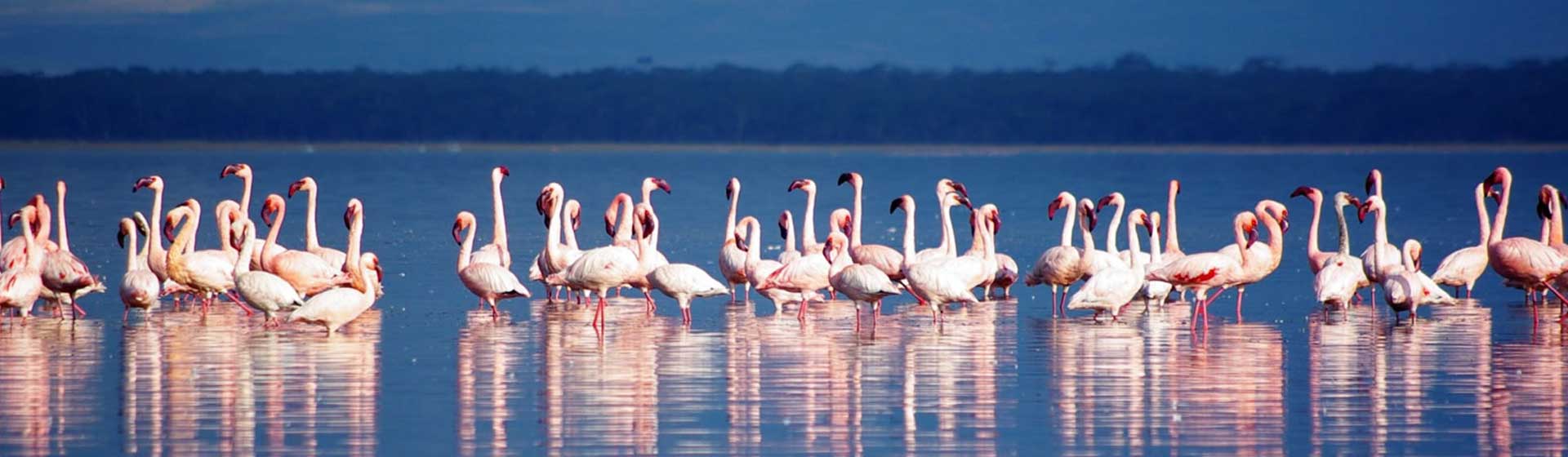 Lake Nakuru