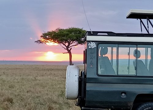 Kenya's Northern Circuit Safari Package: 9 Days, 8 Nights
